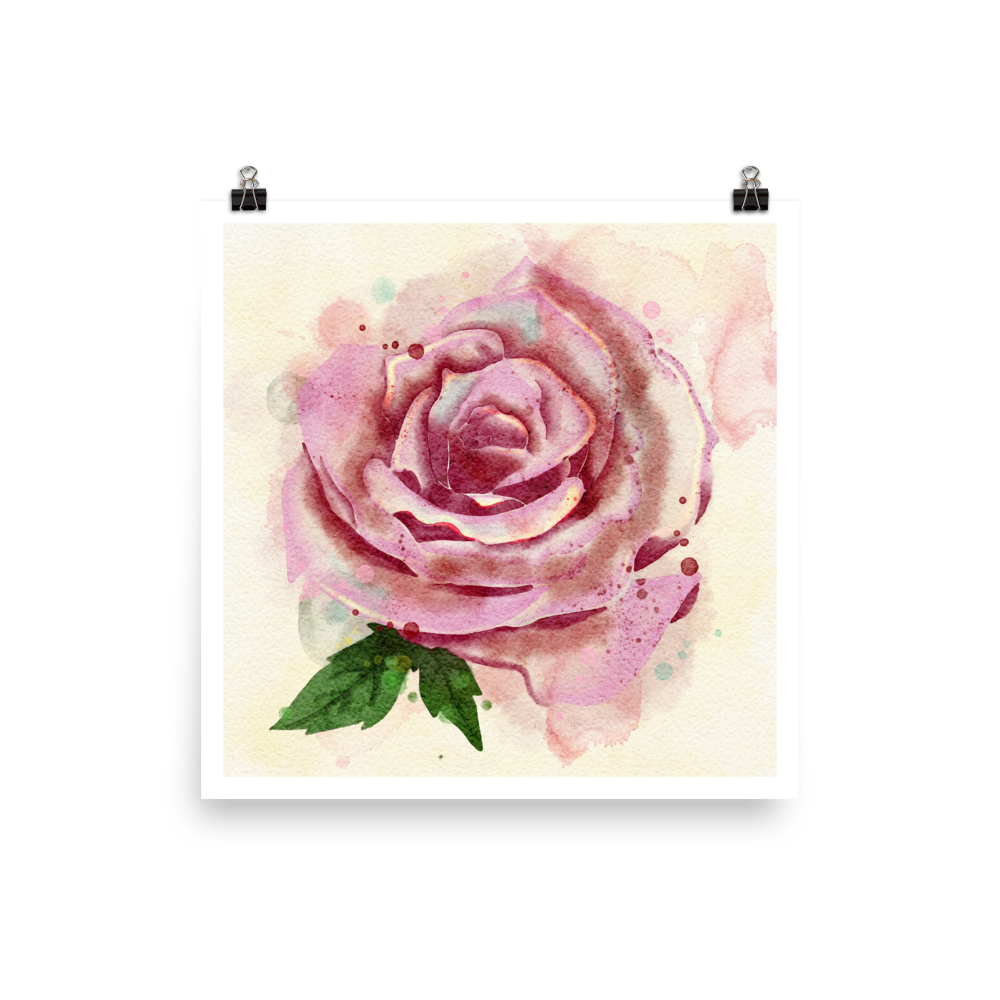 14x14 Watercolour painting of a red and pink rose