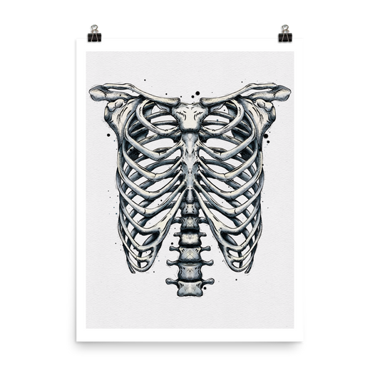 Ribcage Graphic Watercolour Print