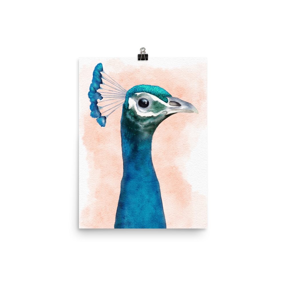 12x16 art poster print of a peacock in watercolour