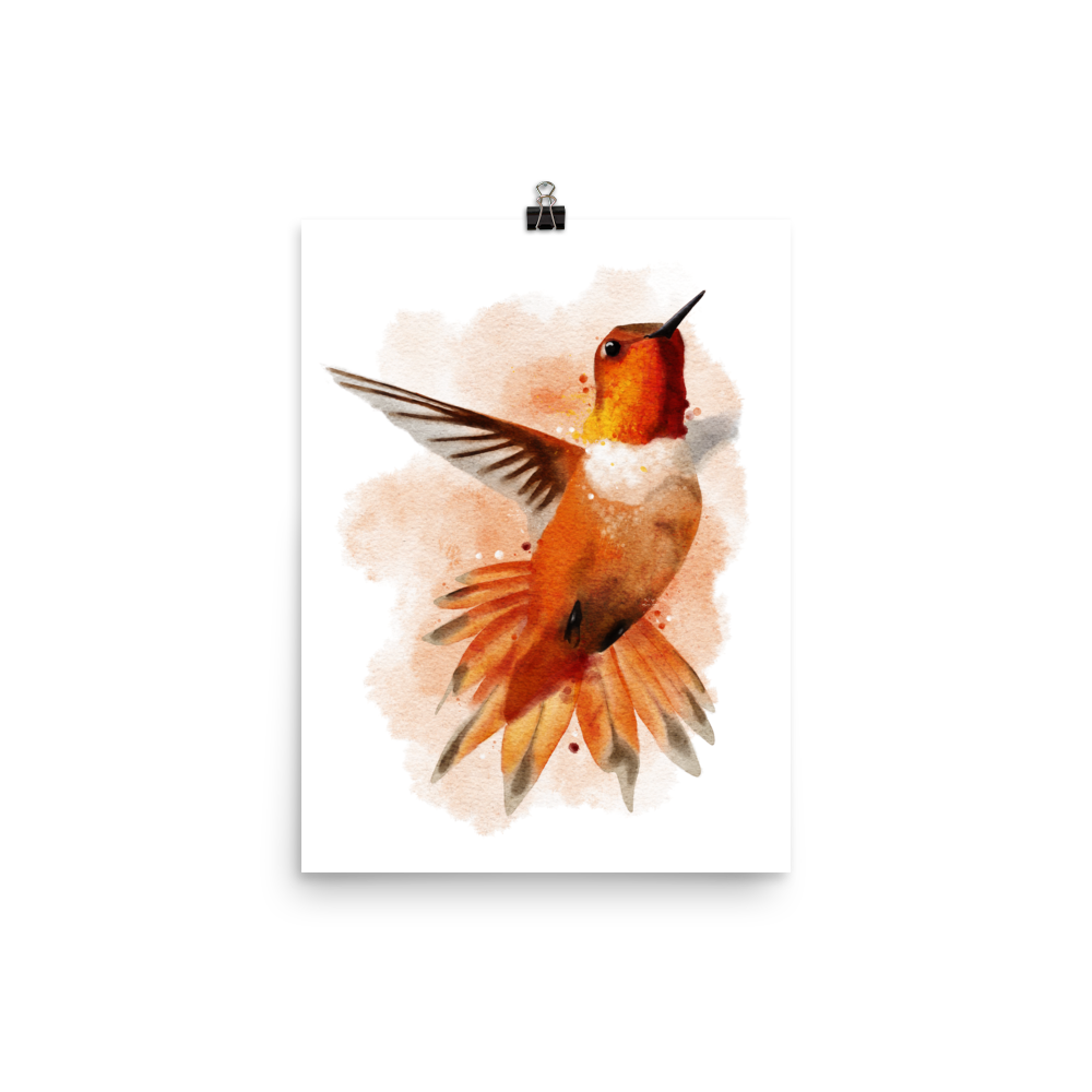 Hummingbird Watercolour Art Print
