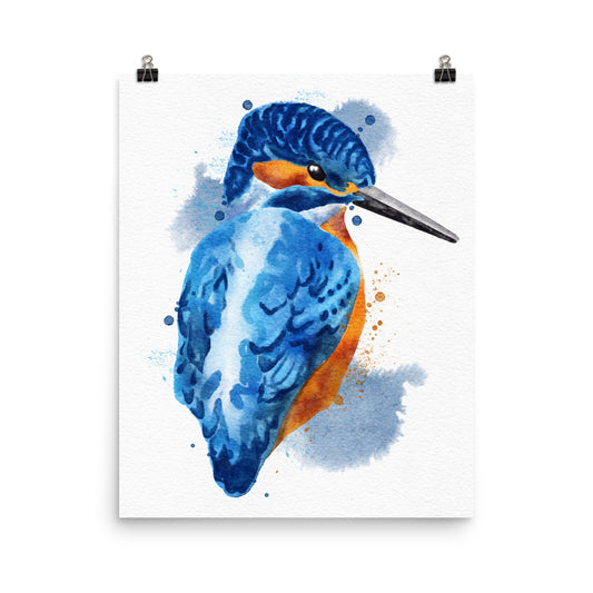 16x20 watercolour kingfisher art poster print