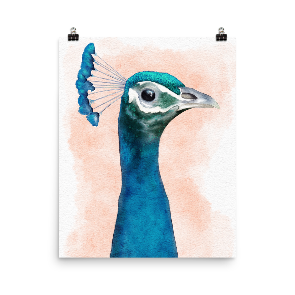 16x20 art poster print of a peacock in watercolour 