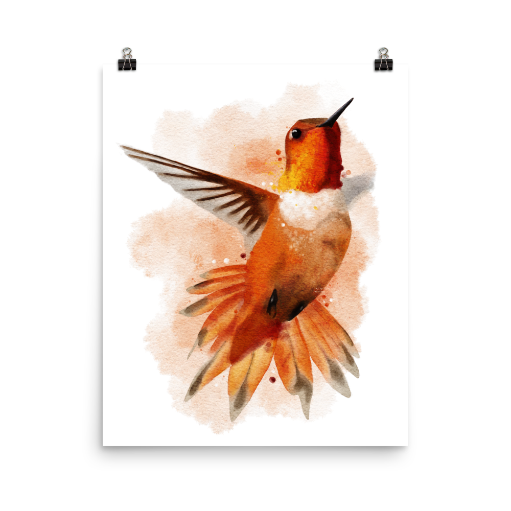 Hummingbird Watercolour Art Print