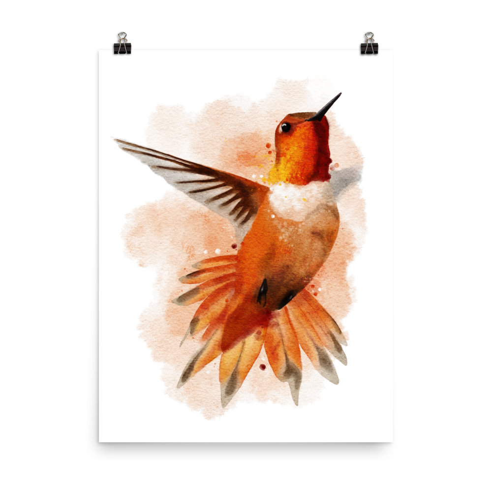 Hummingbird Watercolour Art Print
