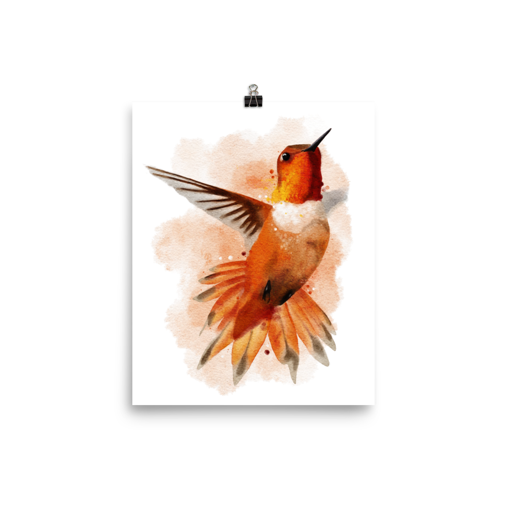 Hummingbird Watercolour Art Print